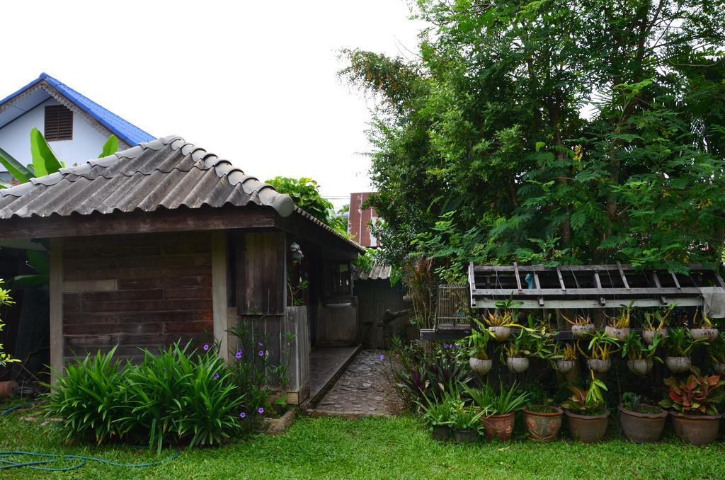 Pai Cat Hut Hostel Luaran gambar